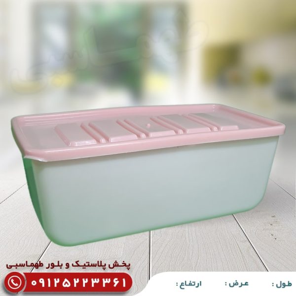 فریزری تک پلی نایس